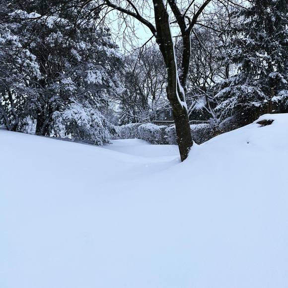 Meet your Posher, Eva - Picture 1 of 1